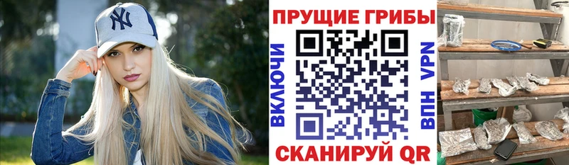 Галлюциногенные грибы Magic Shrooms  Балаково 